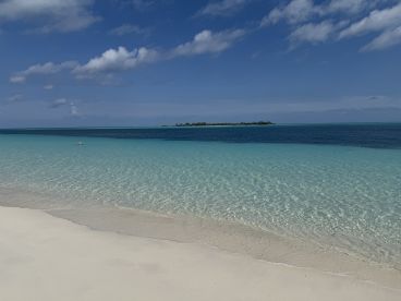 A stunning view of a serene beach with crystal-clear waters and a distant island, perfect for showcasing the beauty of tropical destinations.