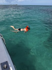 A child snorkels in the crystal-clear waters, showcasing the beauty of underwater exploration — a perfect family adventure in the tropics.