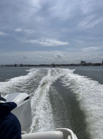 A scenic view from a boat, showcasing the wake and coastline as it navigates through the water — perfect for capturing the essence of a day on the water.