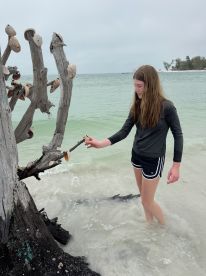 A young girl explores the beach, discovering shells along the shoreline — a perfect moment of adventure and nature appreciation.
