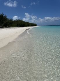 A stunning view of a pristine beach with clear turquoise waters and lush greenery in the background, perfect for a tropical getaway or island exploration.