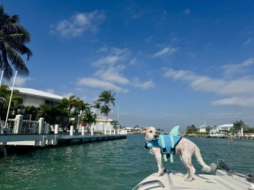 Great day on the water