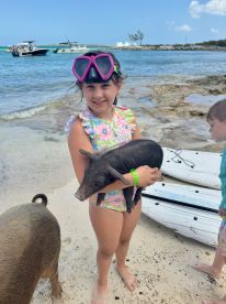 A young girl joyfully holds a pig while enjoying a beach day, showcasing the unique experience of swimming with pigs in the Bahamas.