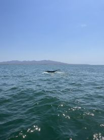 Fantastic Private Tour