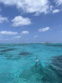 Wonderful excursion with our kids. 