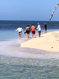 A group of friends enjoys a sunny day at the beach, walking along the shore and making memories during their sandbar stop.