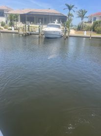 A sleek yacht docked in a serene canal setting, surrounded by lush landscaping and upscale homes — ideal for luxury boating experiences.