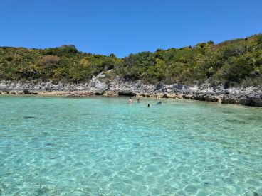 A group enjoys a refreshing swim in the crystal-clear waters of a secluded beach, surrounded by lush greenery — a perfect spot for relaxation and fun in the sun.
