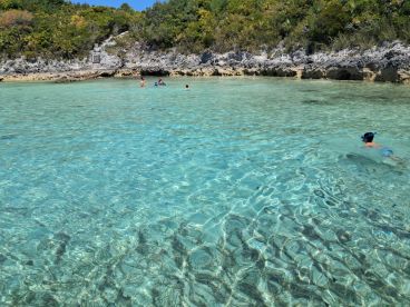 A group enjoys a sunny day snorkeling in crystal-clear waters, surrounded by stunning natural scenery — a perfect spot for aquatic adventures.