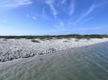 Professional friendly helpful safe and prepared!