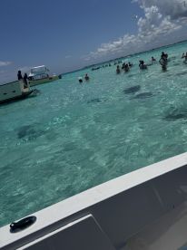 A lively scene of guests enjoying a stingray encounter in crystal-clear waters, showcasing the excitement of marine wildlife interactions.