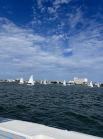 A picturesque view of multiple sailboats gliding across the water, framed by a beautiful coastal skyline under a bright blue sky.