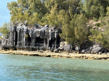 A stunning view of rocky cliffs and lush greenery along the coastline, showcasing the natural beauty of the area — perfect for eco tours and scenic boat trips.