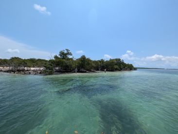 A serene view of a coastline with two individuals enjoying the shallow waters, perfect for a relaxing day at the beach.