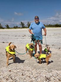 A man stands on the beach with four dogs wearing bright yellow life jackets, ready for a fun day outdoors. Perfect for pet lovers and beachgoers.