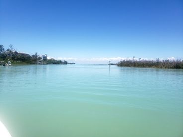 A serene view of a tranquil waterway with lush greenery and clear blue skies, perfect for showcasing the beauty of coastal landscapes.