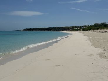 A serene beach scene with soft white sand and clear turquoise waters, perfect for relaxation and enjoying nature's beauty.