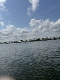 A scenic view of the water and clouds, but the image lacks clarity and identifiable subjects.