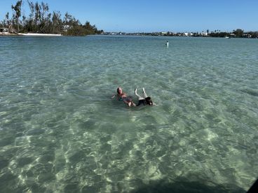 A joyful moment captured as two individuals swim in the clear waters, showcasing the fun and relaxation of a perfect day on the water.