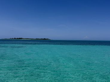 A stunning view of a secluded island surrounded by crystal-clear turquoise waters, perfect for a serene getaway or island-hopping adventure.