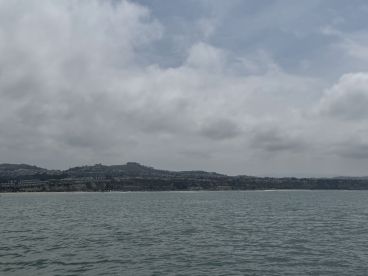 Come out with Captain Steve and his team!!