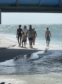 A joyful group of friends and family strolls along the beach, enjoying a sunny day by the water — perfect for creating lasting memories during beach outings.