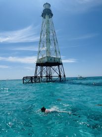 A snorkeler explores the vibrant waters near a historic lighthouse, showcasing the beauty of marine life and the thrill of underwater adventures.
