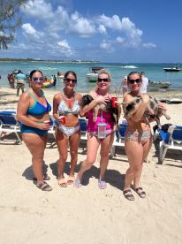 A fun group of friends enjoys a beach day, holding cocktails and posing with adorable pigs — a memorable experience in the sun.