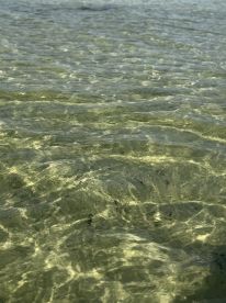 A close-up view of clear water, showcasing the ripples and reflections, but lacks identifiable subjects or context.