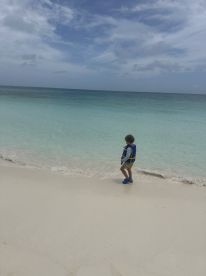 A child explores the shoreline, enjoying the tranquil waters of a beautiful beach — a perfect moment for family fun and relaxation.