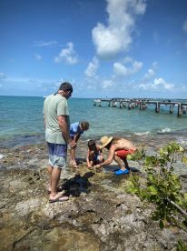 A family enjoys a fun day at the beach, exploring the rocky shoreline and discovering marine life together — a perfect bonding experience in the sun.
