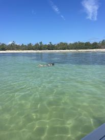 A snorkeler enjoys the clear, shallow waters, perfect for exploring marine life in a tropical paradise.