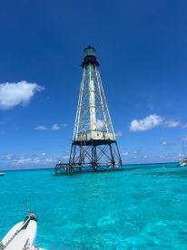 A stunning view of a lighthouse standing tall over vibrant turquoise waters, perfect for capturing the beauty of coastal landmarks.