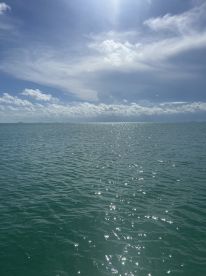 A scenic view of shimmering water under a bright sky, capturing the serene beauty of the ocean. Ideal for showcasing tranquil marine environments.