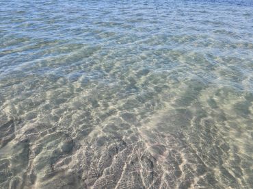 A serene view of clear water, showcasing the gentle ripples and reflections, perfect for a tranquil beach setting.
