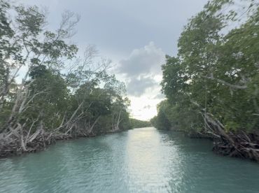Perfect Sunset Cruise!