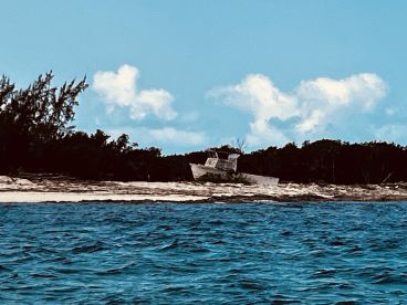 A solitary boat rests on the shore, surrounded by lush greenery and a clear blue sky, showcasing a tranquil coastal scene.