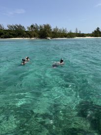 A group of snorkelers enjoys the vibrant underwater world in crystal-clear waters, perfect for a fun day of exploration and adventure.