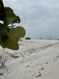 Amazing Nautical Adventure