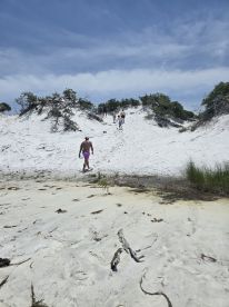 A group of friends explores a sandy beach, making their way up a dune under a bright blue sky — perfect for adventure and relaxation in nature.