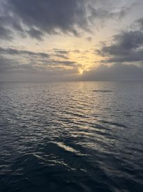 A serene sunset over calm ocean waters, creating a picturesque backdrop perfect for evening boat cruises.