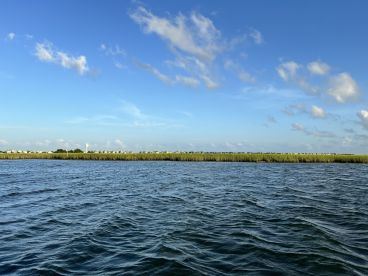 A serene view of the coastline with lush greenery and a clear blue sky, perfect for showcasing the natural beauty of the area while enjoying a boat trip.