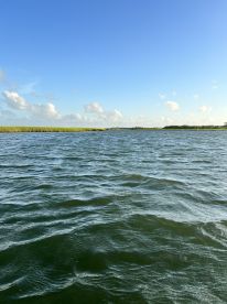 A scenic view of water and marshland under a clear blue sky, capturing the serene beauty of the natural landscape.