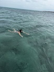A snorkeler explores the clear waters, showcasing the beauty of underwater adventures — perfect for marine life enthusiasts.