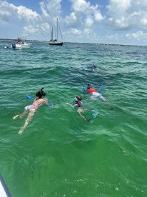A family enjoys snorkeling in vibrant green waters, creating unforgettable memories while exploring the underwater world.