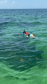 A child enjoys snorkeling in the clear turquoise waters, showcasing the beauty of underwater exploration and family-friendly activities.