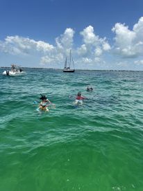 A lively group enjoys snorkeling in clear waters, with sailboats in the background, capturing the essence of a fun-filled day on the water.