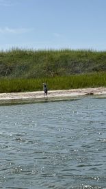 A solitary heron stands gracefully along the shoreline, showcasing the serene beauty of wildlife in its natural habitat.