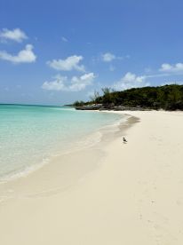 A serene beach scene featuring soft white sand and turquoise waters, perfect for relaxation and enjoying the natural beauty of the coastline.