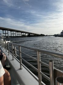 A scenic view from a boat cruising along a waterway, showcasing a bridge in the background — perfect for enjoying the beauty of the surroundings.